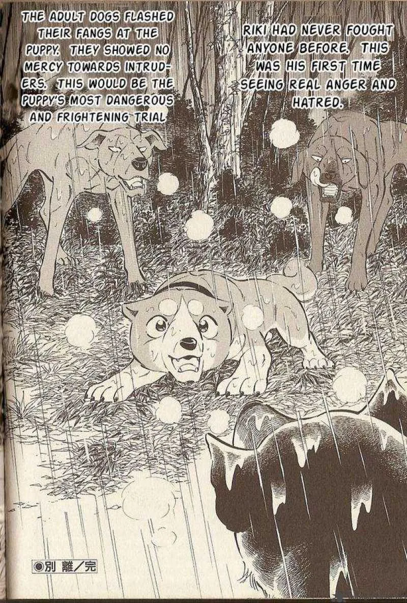 Ginga Densetsu Riki Chapter 2 page 17