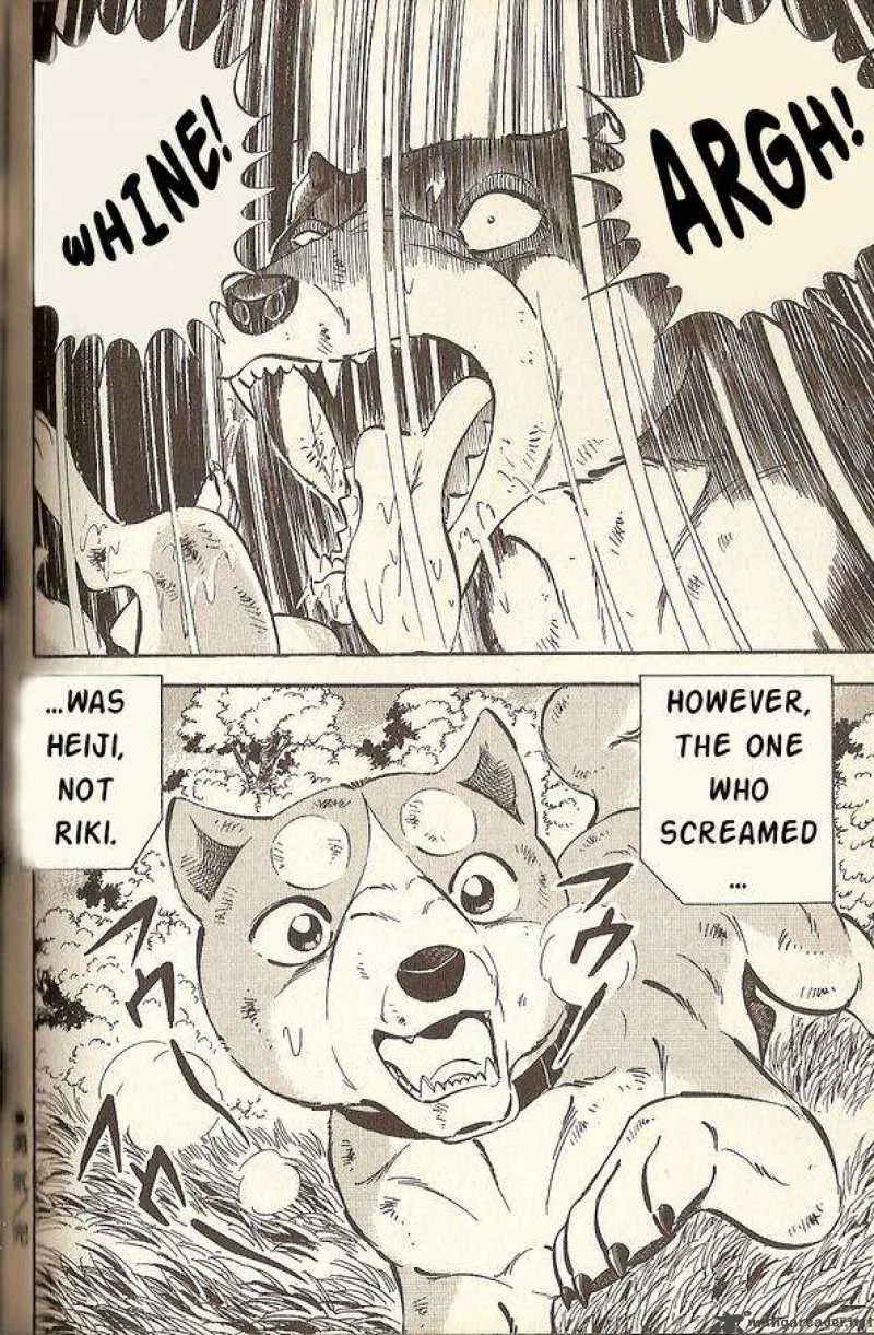 Ginga Densetsu Riki Chapter 4 page 17