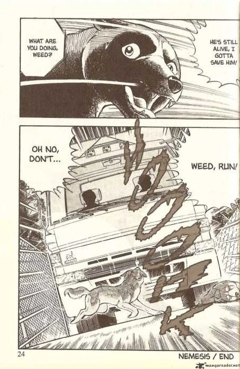 Ginga Densetsu WEED Chapter 11 page 13