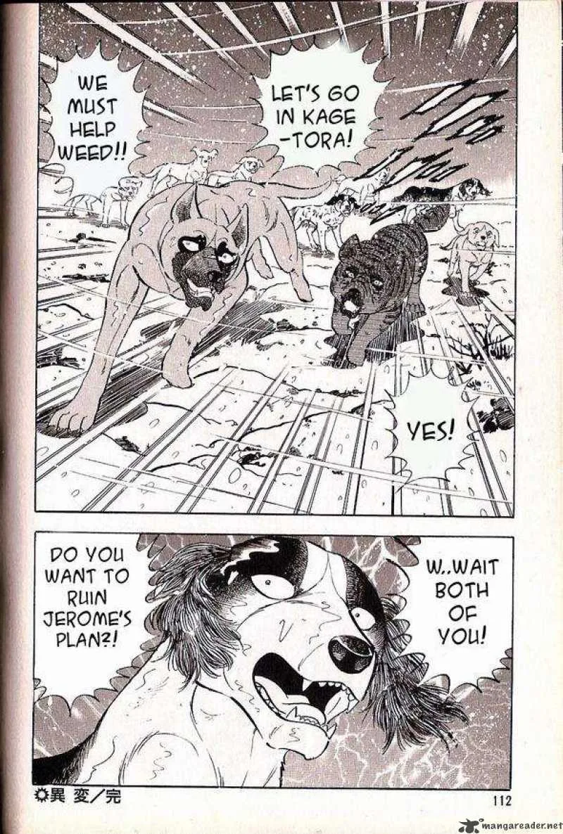 Ginga Densetsu WEED Chapter 35 page 12
