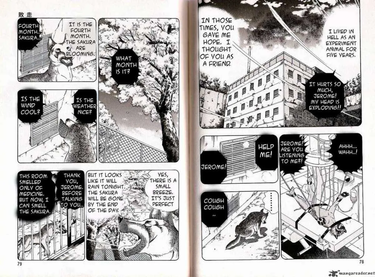 Ginga Densetsu WEED Chapter 43 page 5