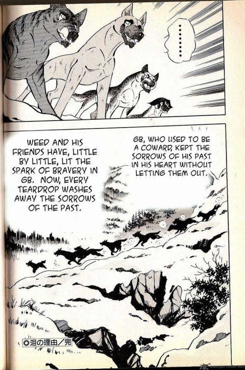 Ginga Densetsu WEED Chapter 60 page 12