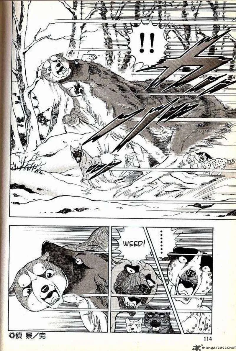 Ginga Densetsu WEED Chapter 62 page 12