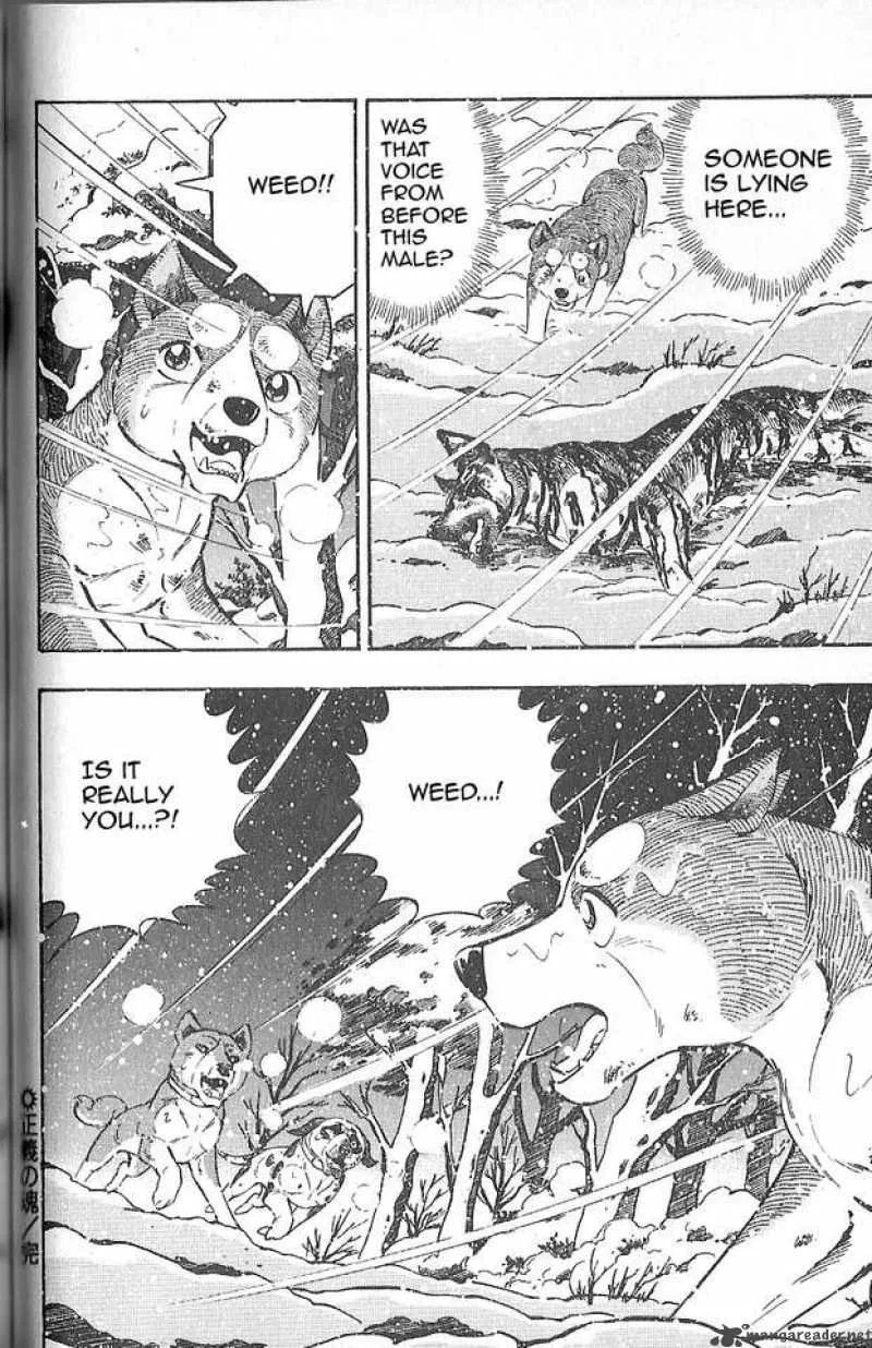 Ginga Densetsu WEED Chapter 77 page 12