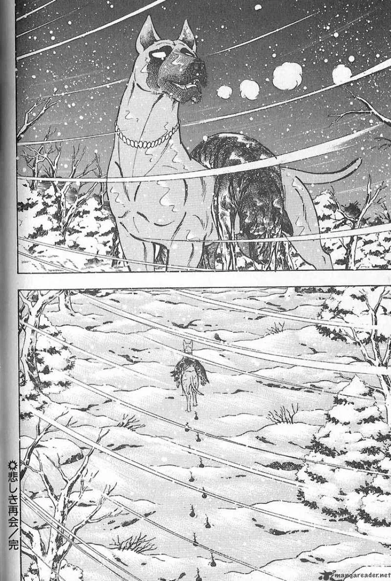 Ginga Densetsu WEED Chapter 79 page 12