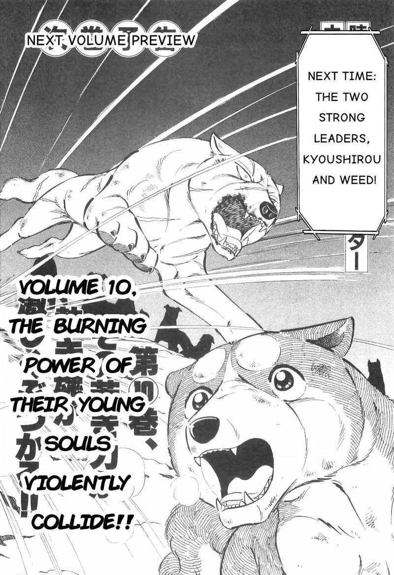 Ginga Densetsu WEED Chapter 84 page 23