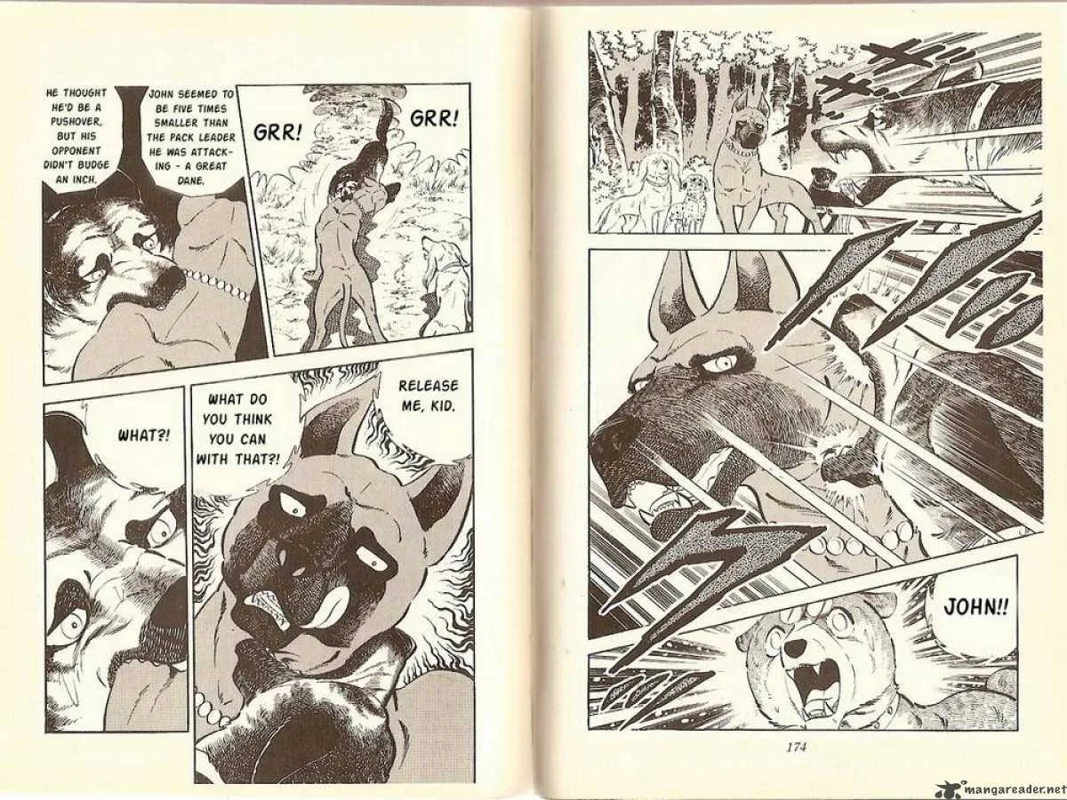 Ginga - Nagareboshi Gin Chapter 10 page 9