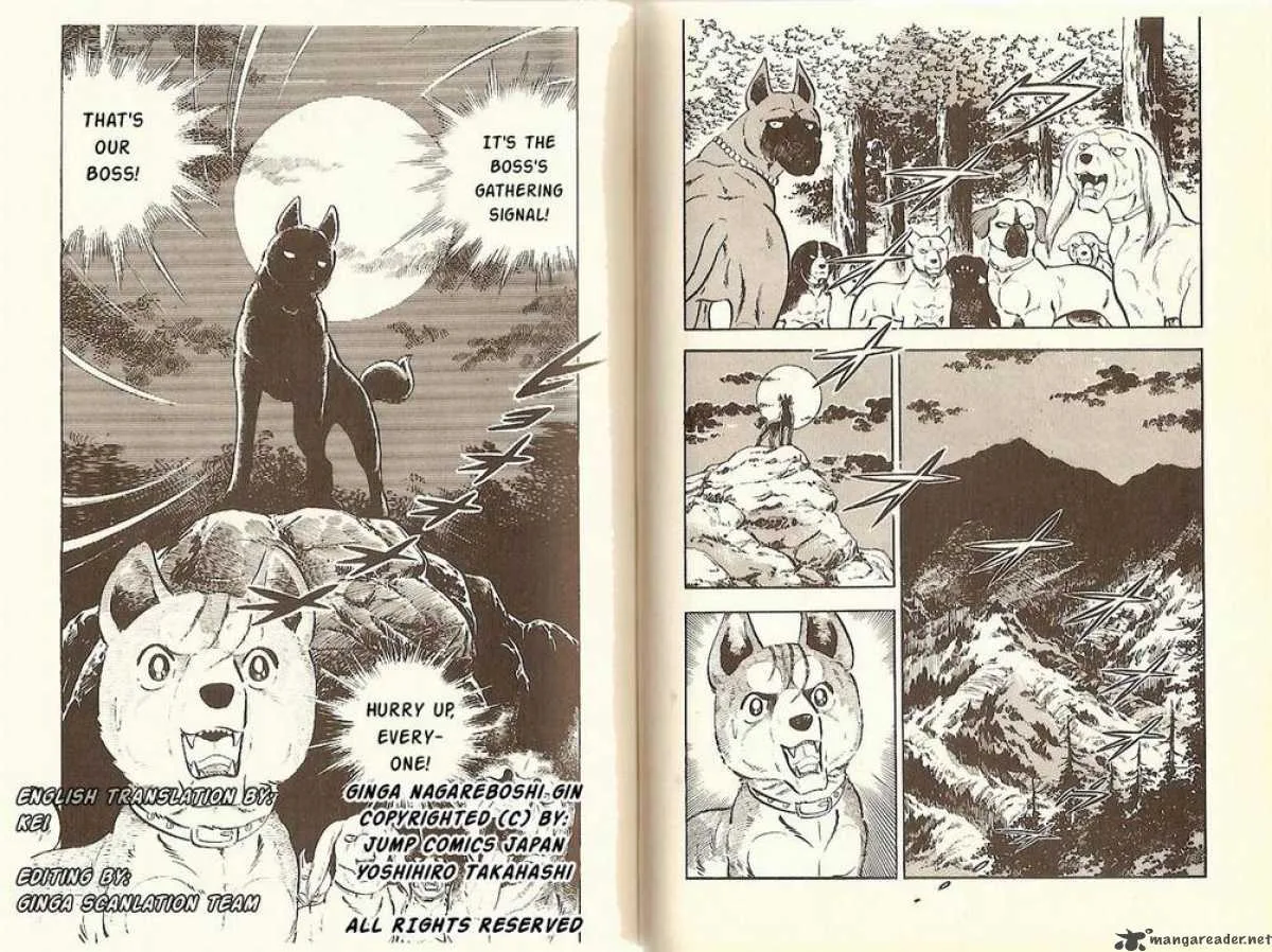 Ginga - Nagareboshi Gin Chapter 10 page 32