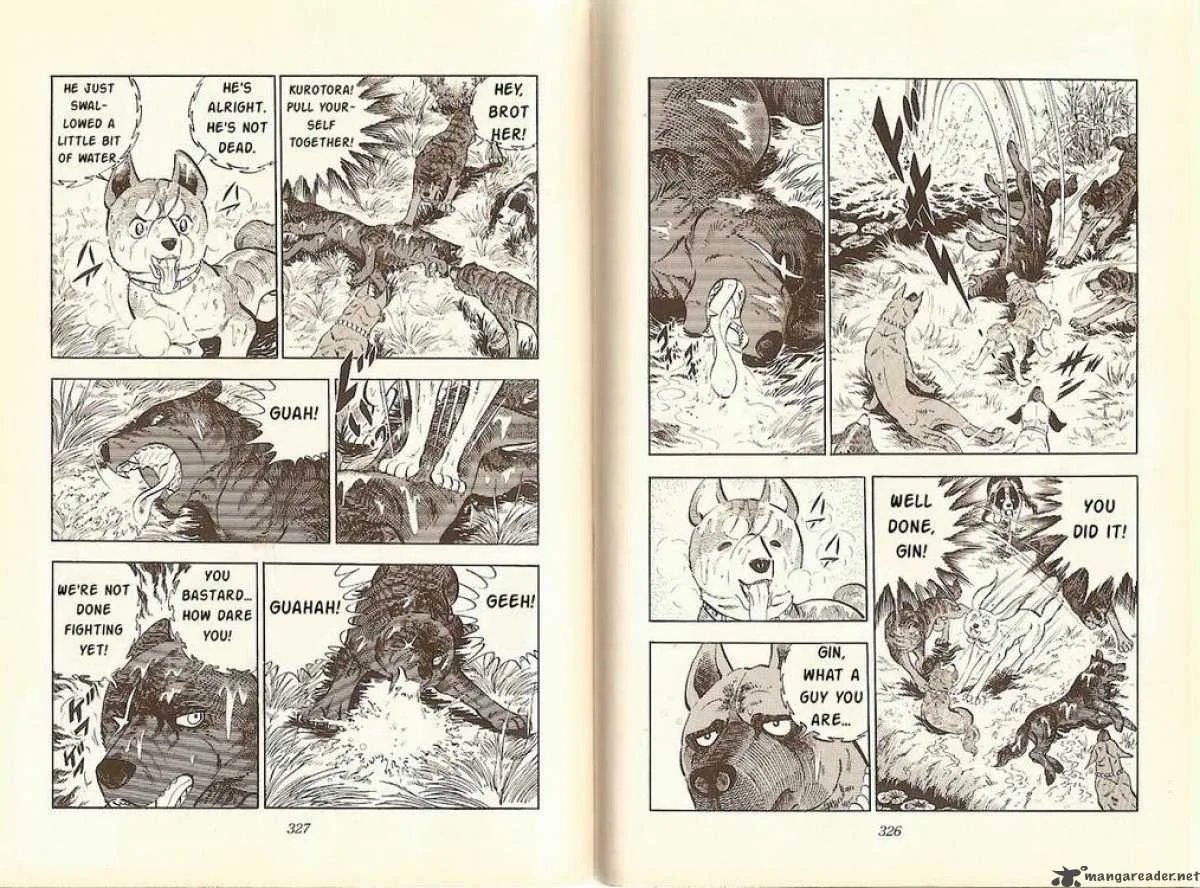 Ginga - Nagareboshi Gin Chapter 13 page 30