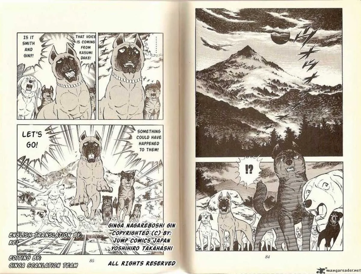 Ginga - Nagareboshi Gin Chapter 15 page 21