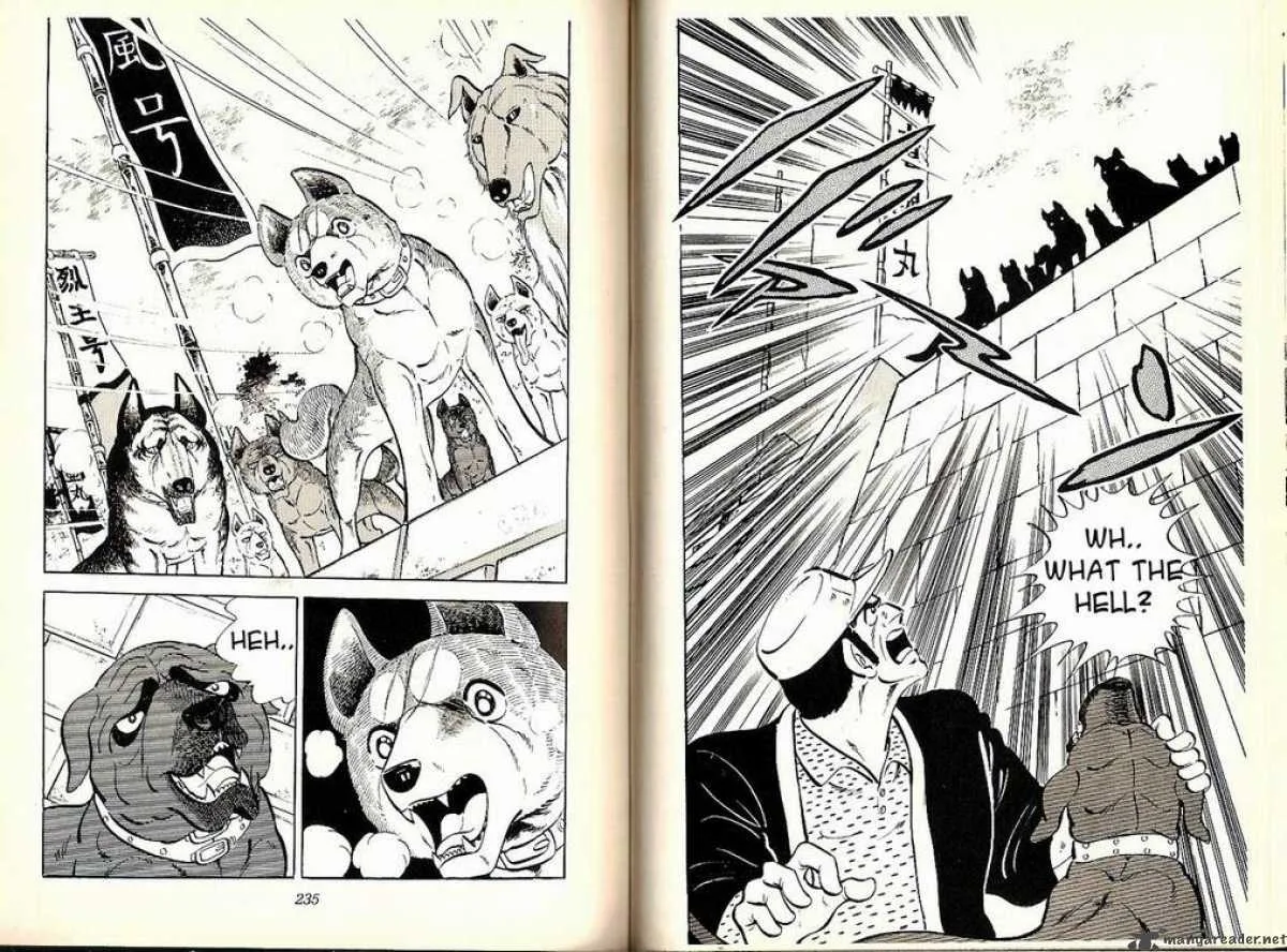 Ginga - Nagareboshi Gin Chapter 24 page 18