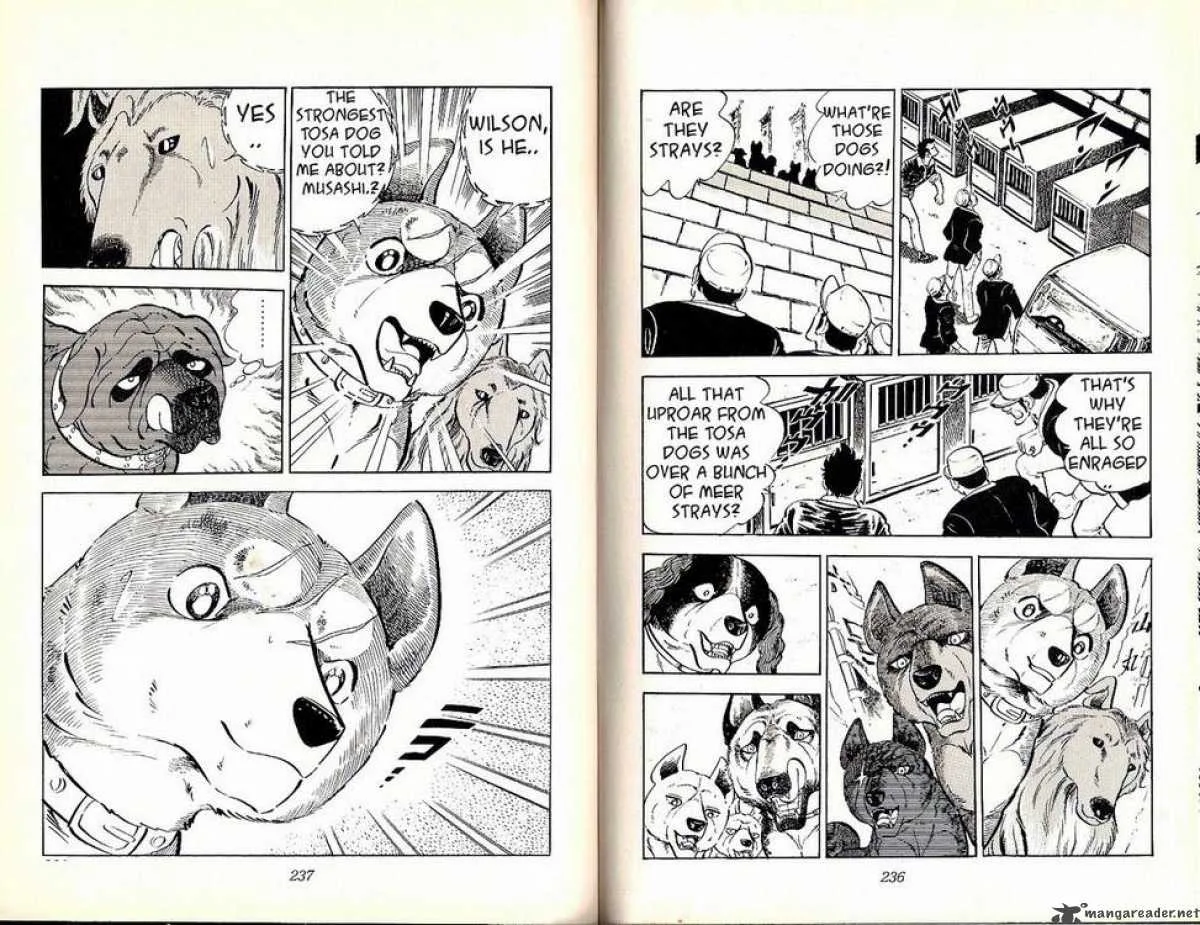Ginga - Nagareboshi Gin Chapter 24 page 19