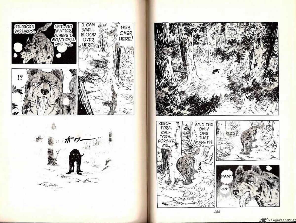 Ginga - Nagareboshi Gin Chapter 24 page 30