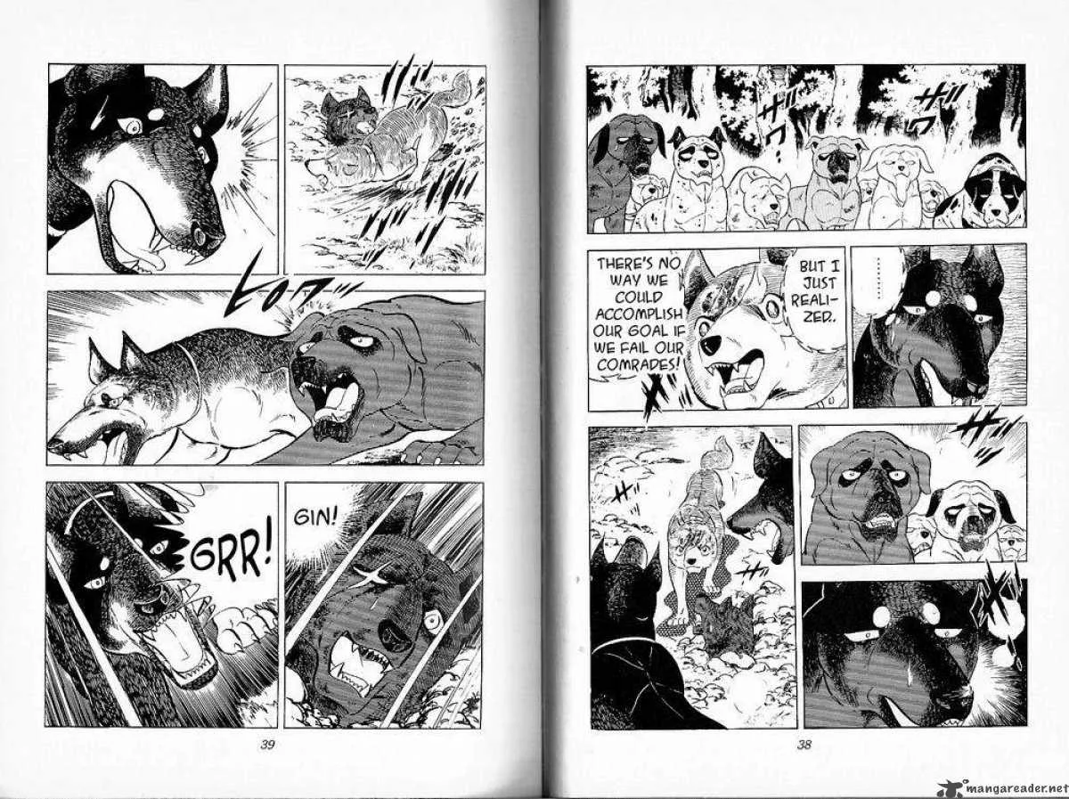 Ginga - Nagareboshi Gin Chapter 26 page 18