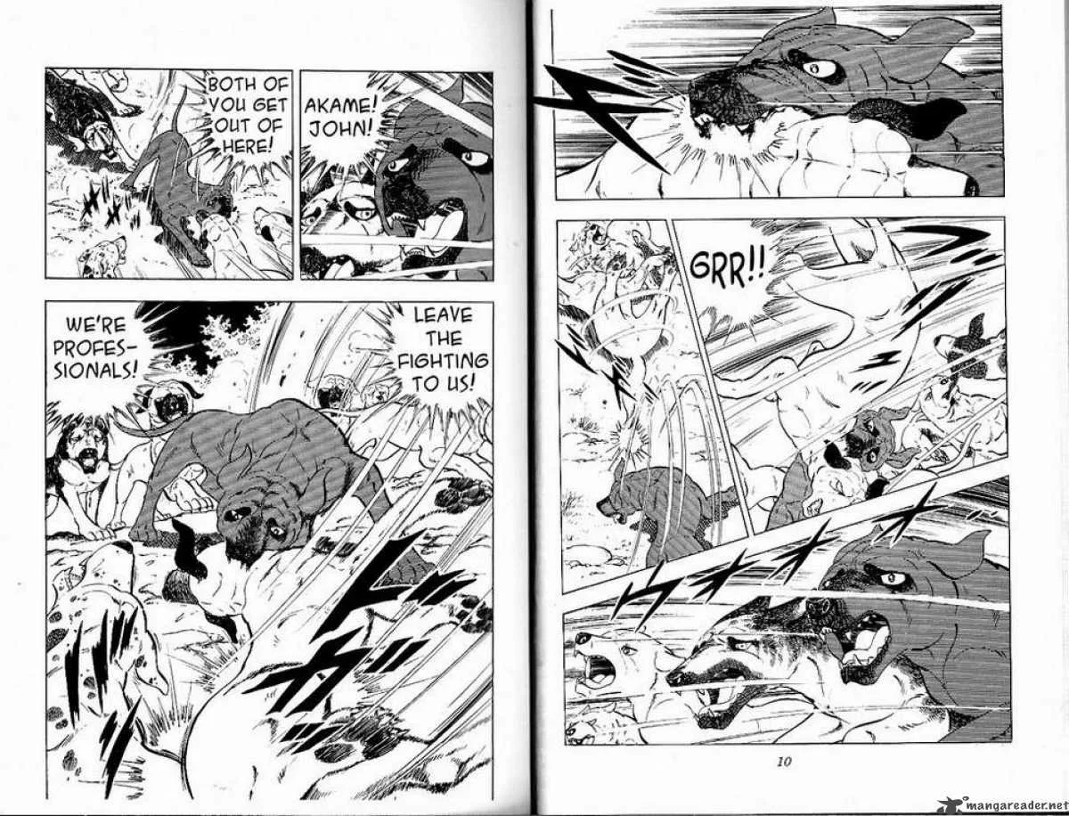 Ginga - Nagareboshi Gin Chapter 26 page 4