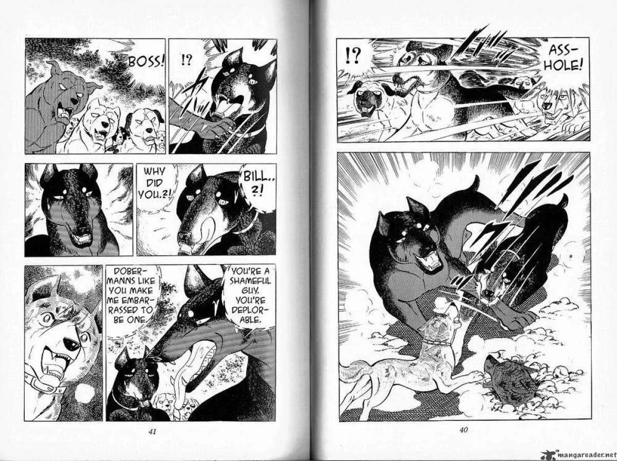 Ginga - Nagareboshi Gin Chapter 26 page 19