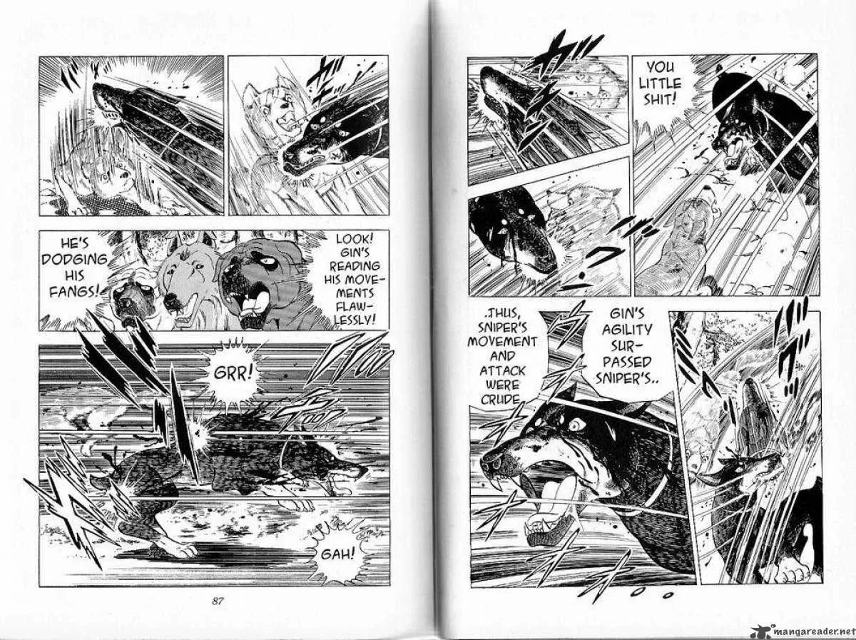Ginga - Nagareboshi Gin Chapter 26 page 42