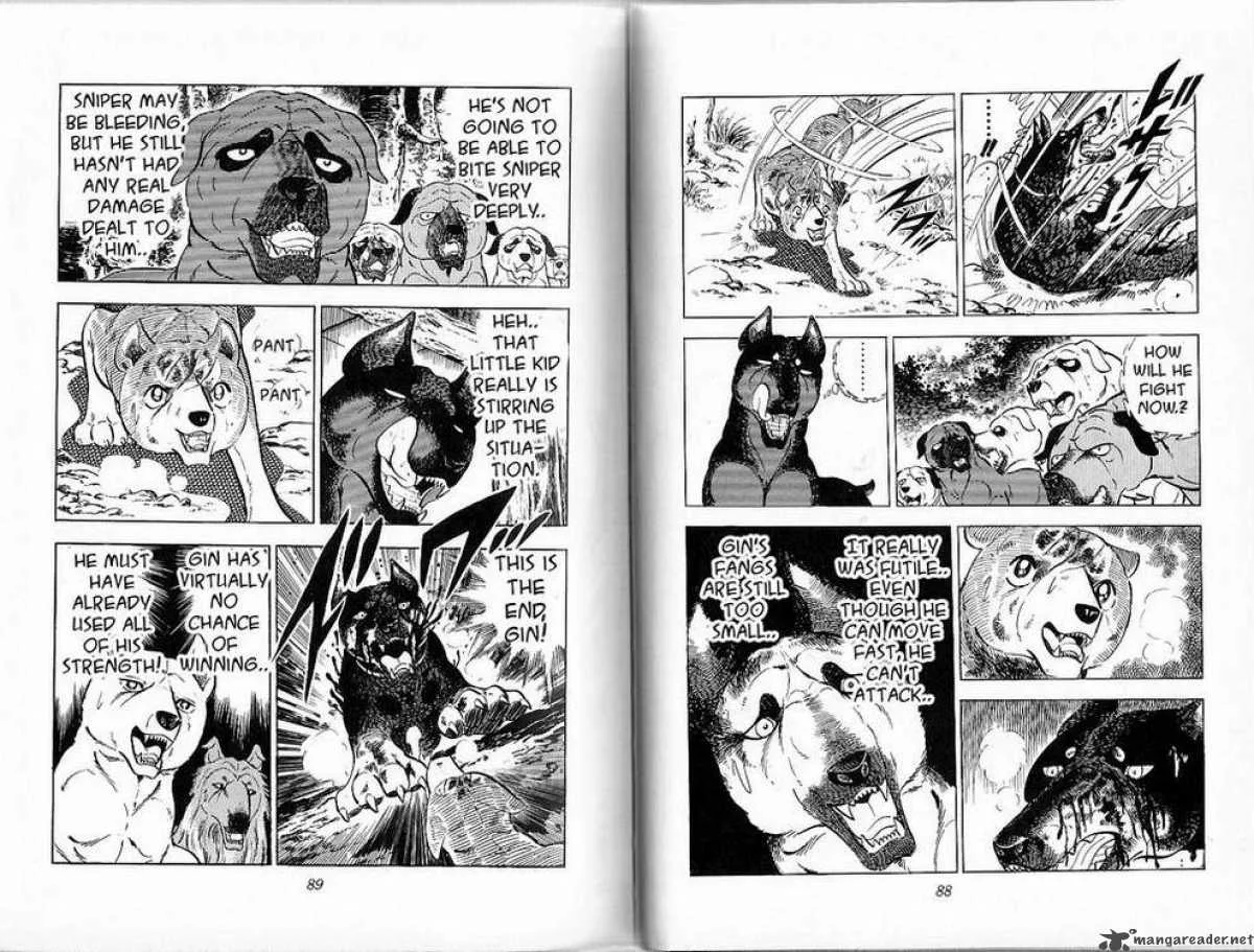 Ginga - Nagareboshi Gin Chapter 26 page 43
