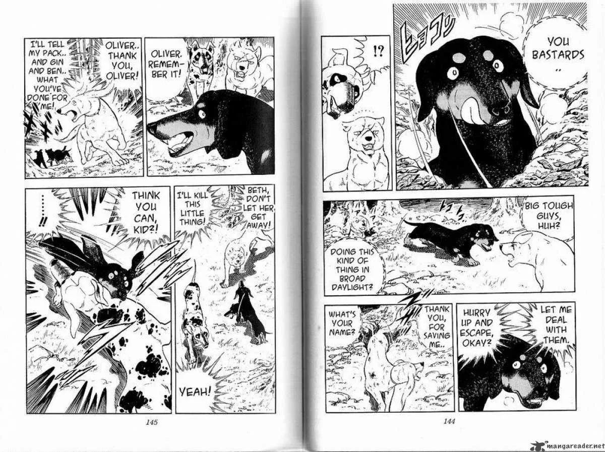 Ginga - Nagareboshi Gin Chapter 28 page 11