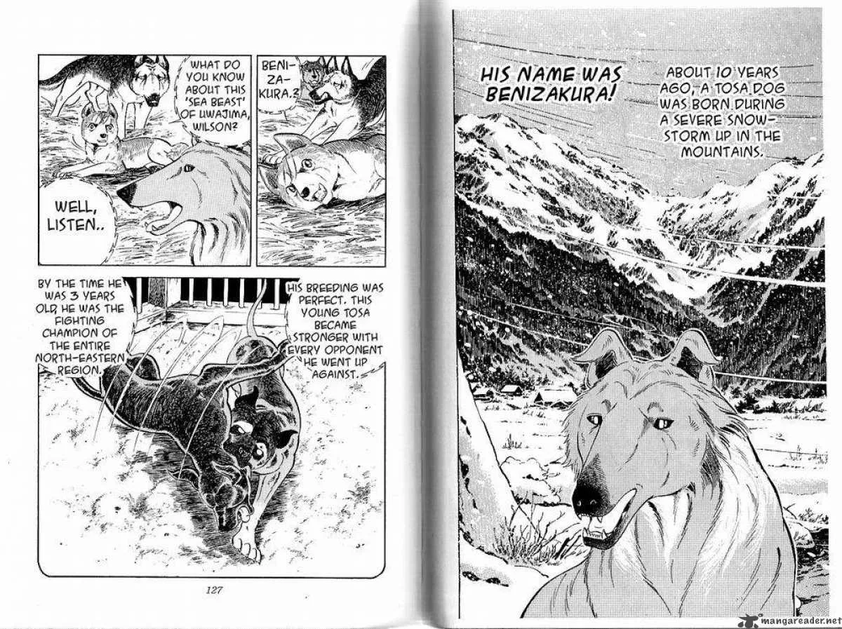 Ginga - Nagareboshi Gin Chapter 28 page 2