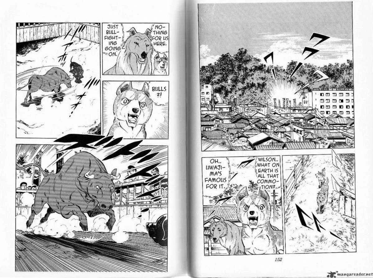 Ginga - Nagareboshi Gin Chapter 28 page 15