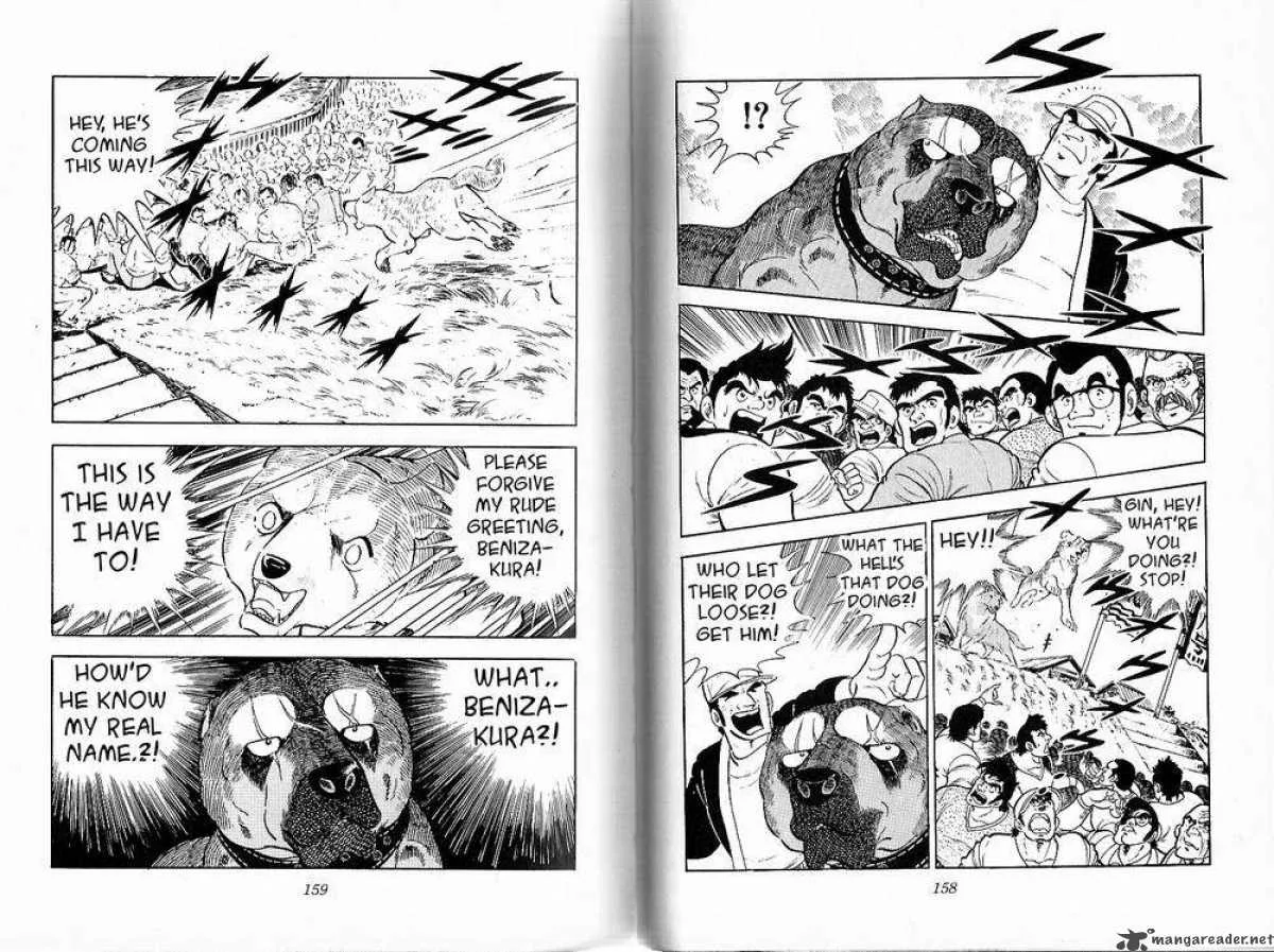 Ginga - Nagareboshi Gin Chapter 28 page 18