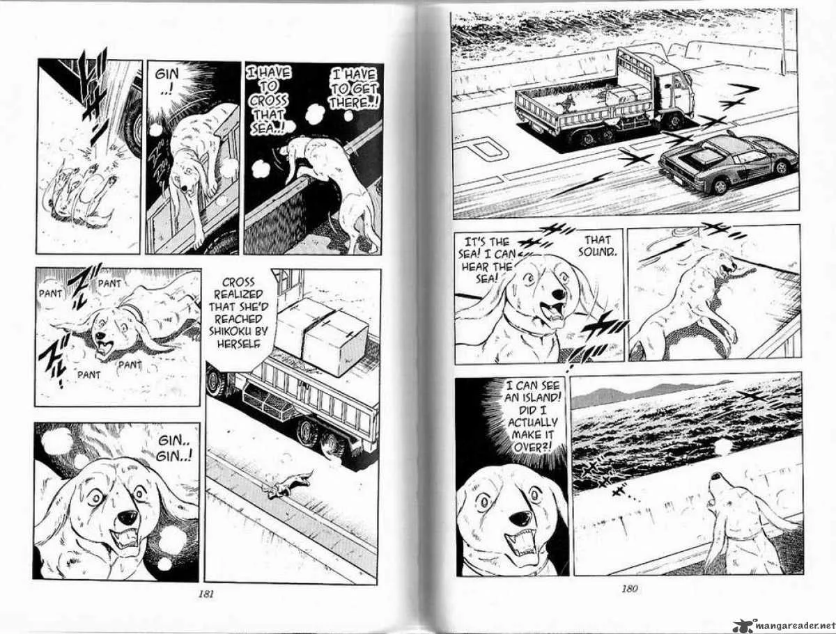 Ginga - Nagareboshi Gin Chapter 28 page 29