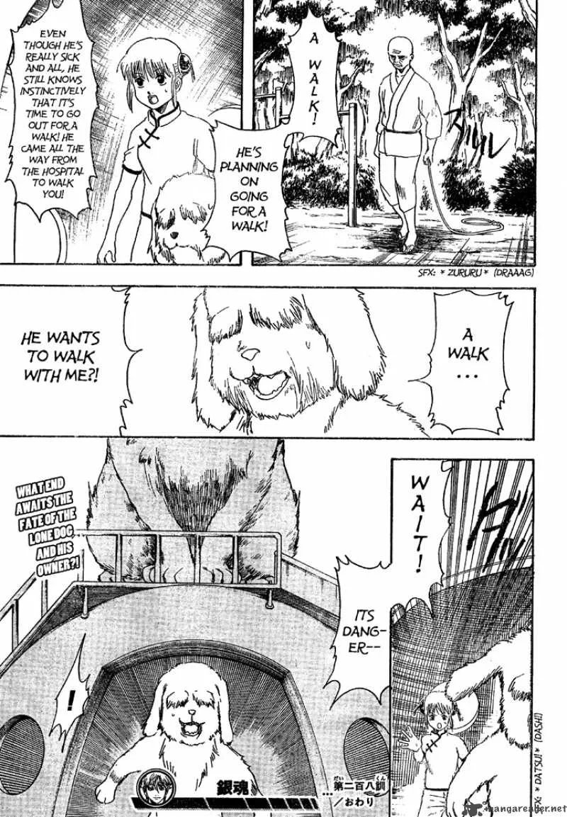 Gintama Chapter 208 page 19
