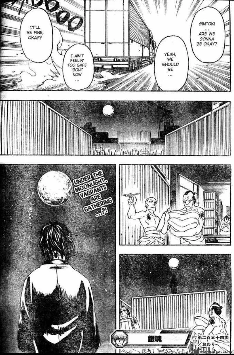 Gintama Chapter 254 page 19