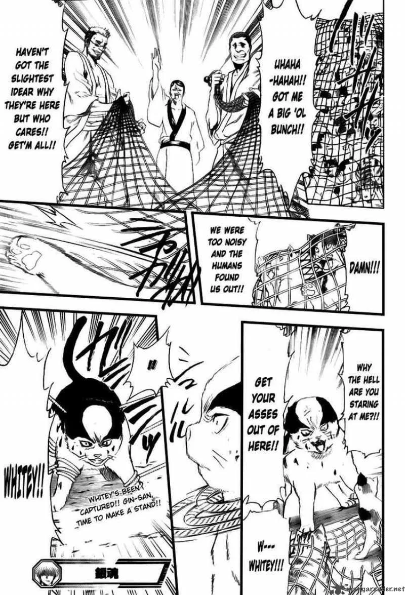 Gintama Chapter 277 page 19