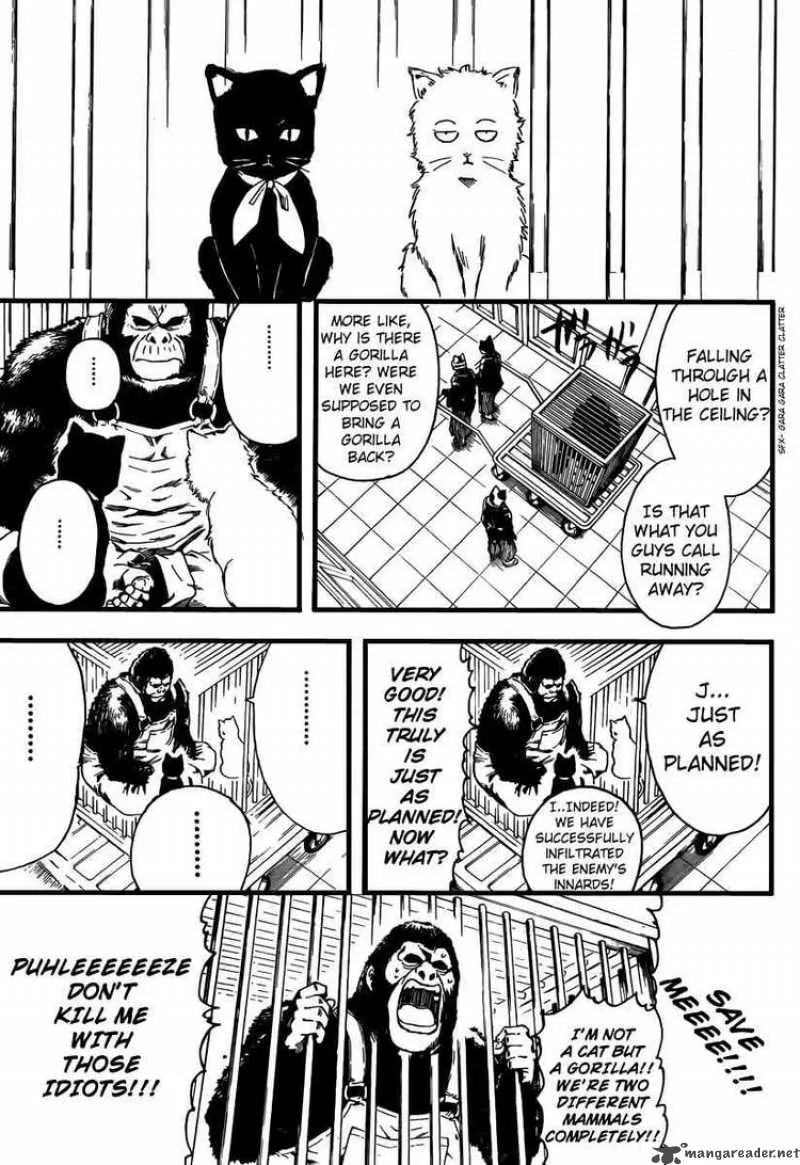 Gintama Chapter 278 page 7