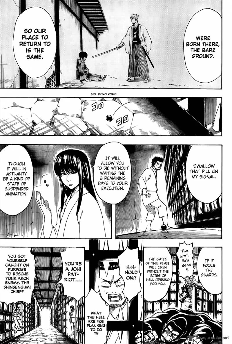 Gintama Chapter 529 page 7