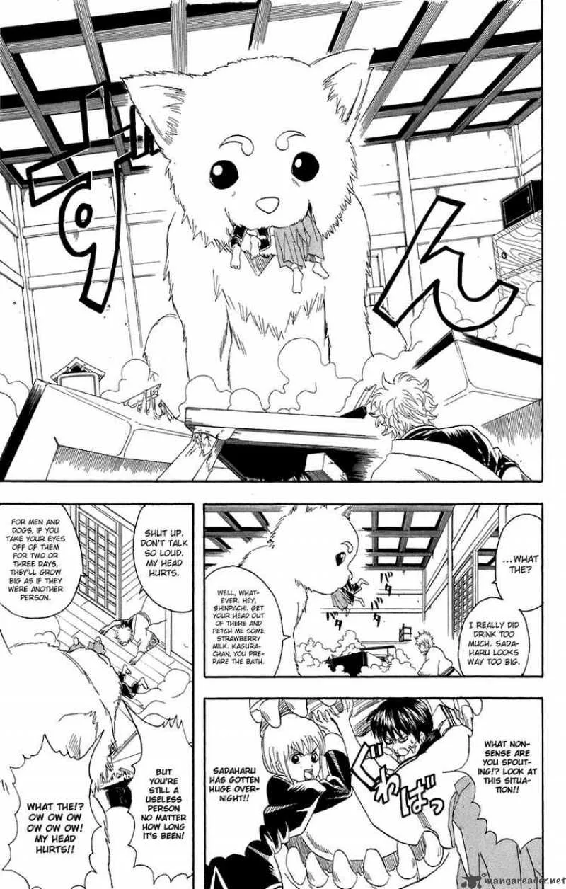 Gintama Chapter 71 page 5