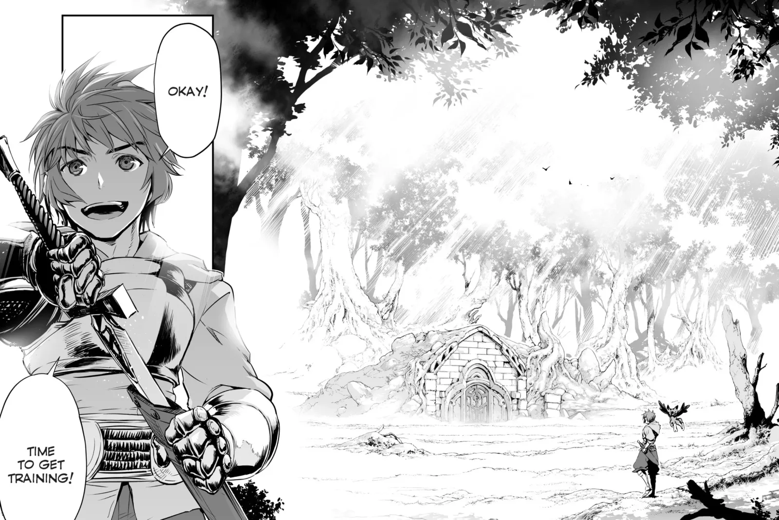 Granblue Fantasy Chapter 1 page 25