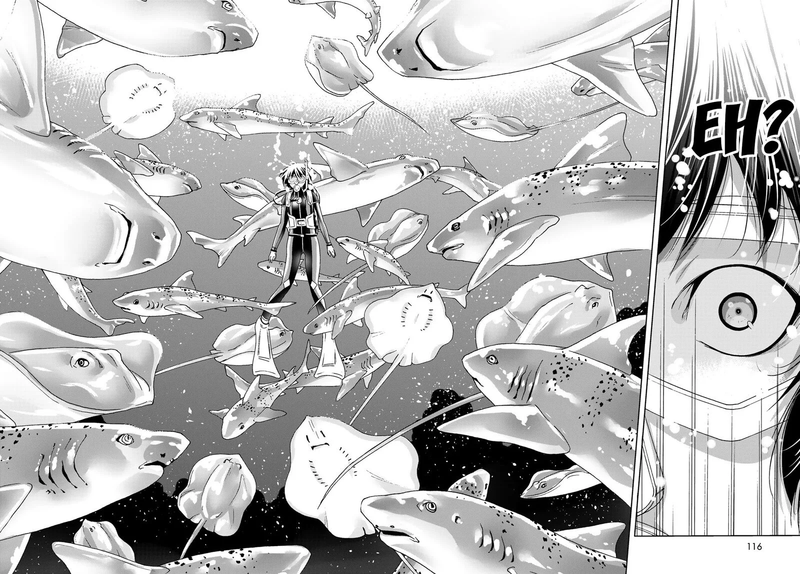 Grand Blue Chapter 81 page 24