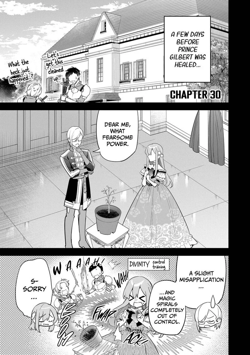 Gyakutaisarete Ita Shouka no Reijou wa Seijo no Chikara wo Te ni Ire, Mujikaku ni Youshanaku Gyakushuu suru Chapter 30 page 1