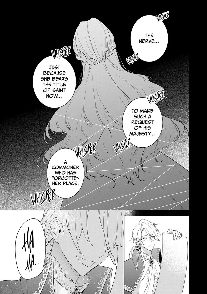 Gyakutaisarete Ita Shouka no Reijou wa Seijo no Chikara wo Te ni Ire, Mujikaku ni Youshanaku Gyakushuu suru Chapter 33 page 5