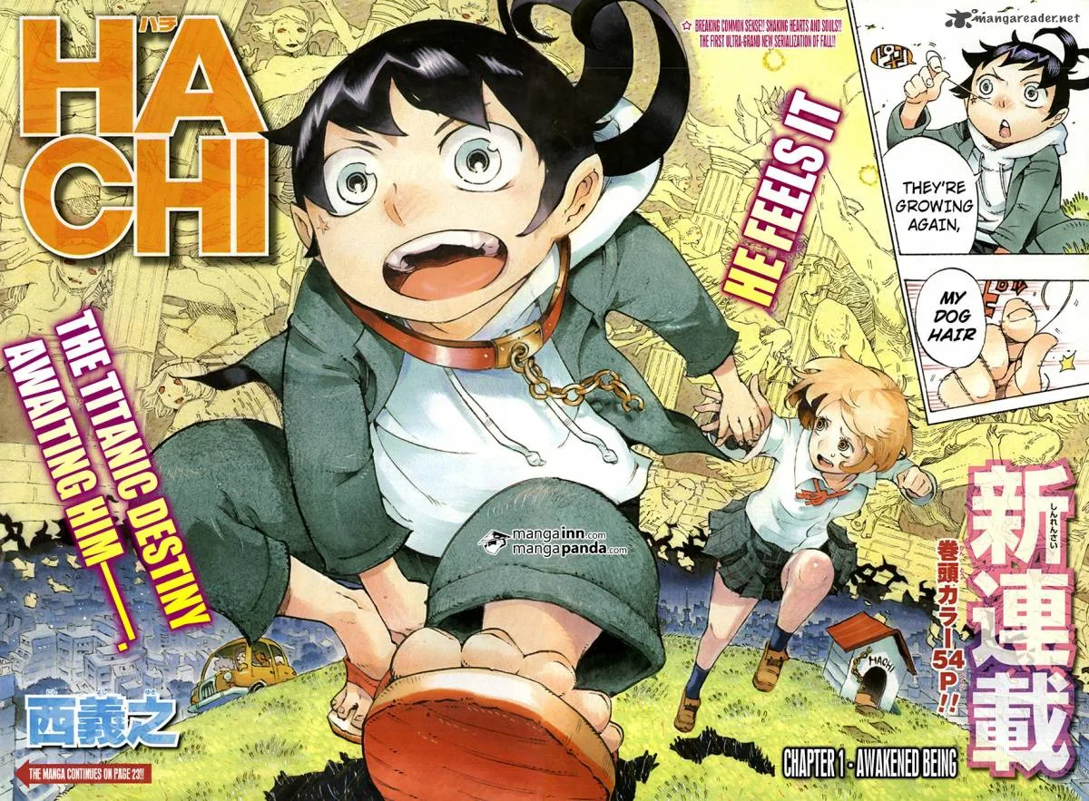 Hachi Chapter 1 page 3