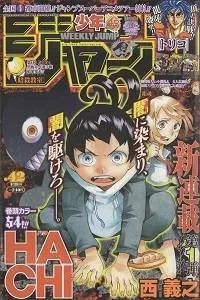 Hachi cover