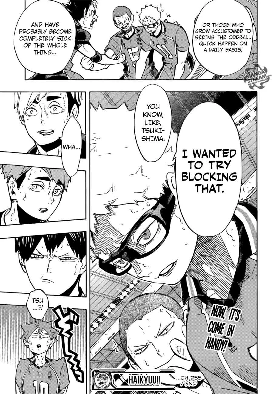 Haikyu!! Chapter 255 page 19