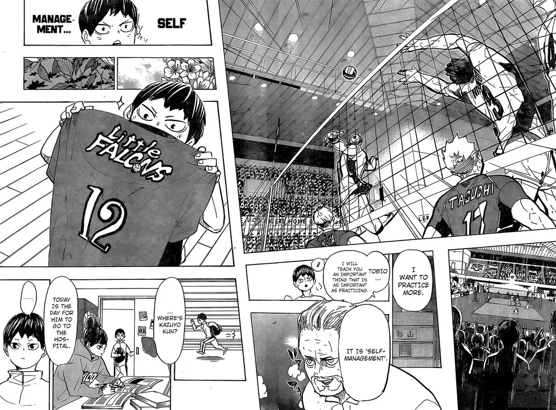 Haikyu!! Chapter 387 page 8