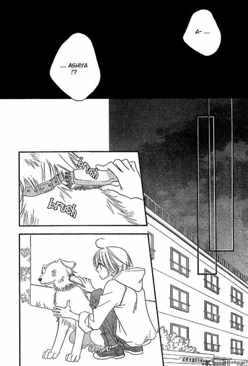 Hana Kimi Chapter 129 page 19