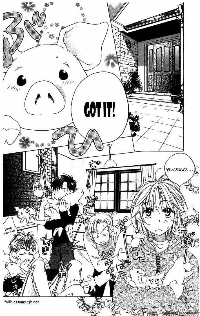 Hana Kimi Chapter 66 page 14