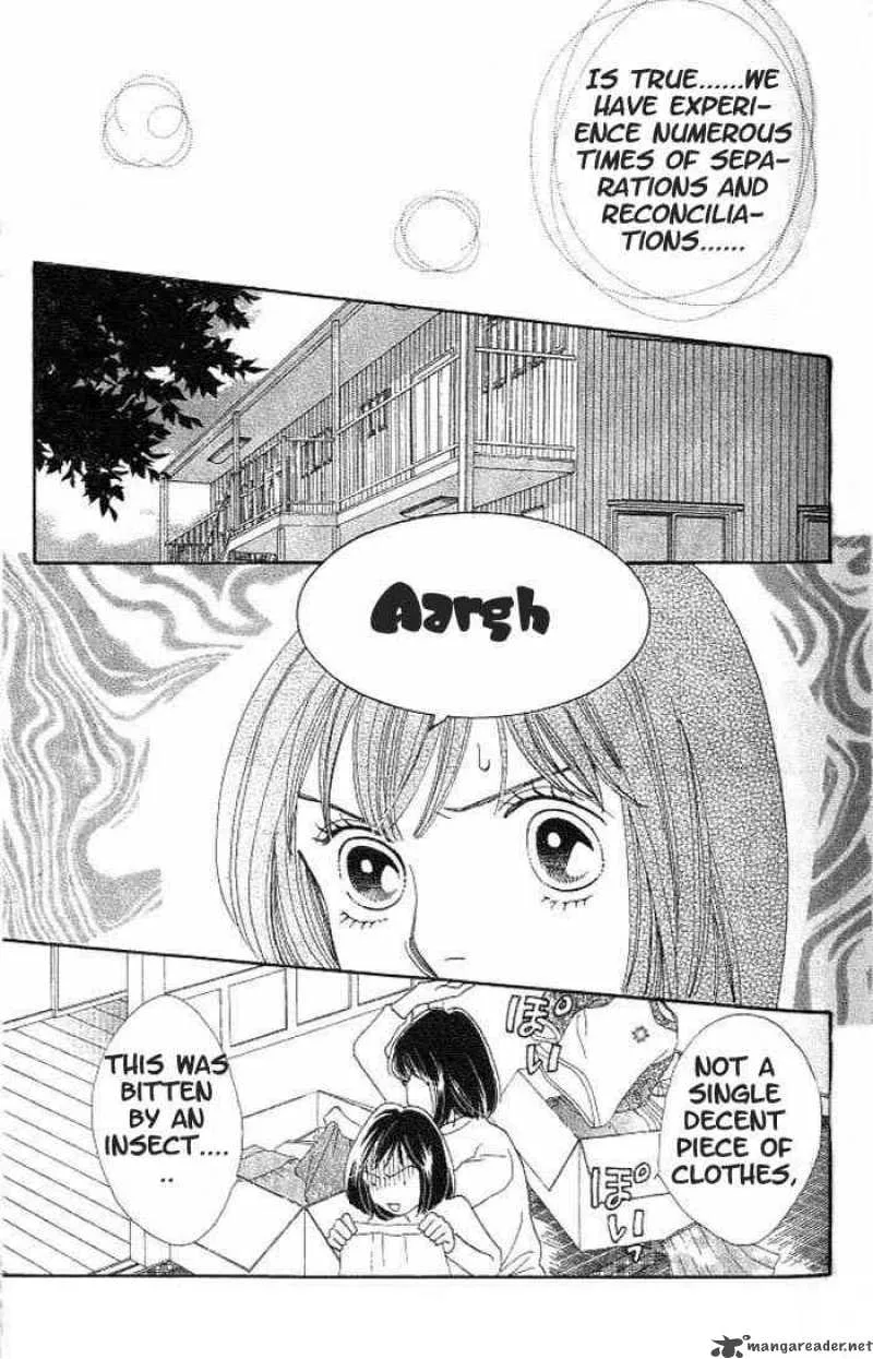 Hana Yori Dango Chapter 209 page 14