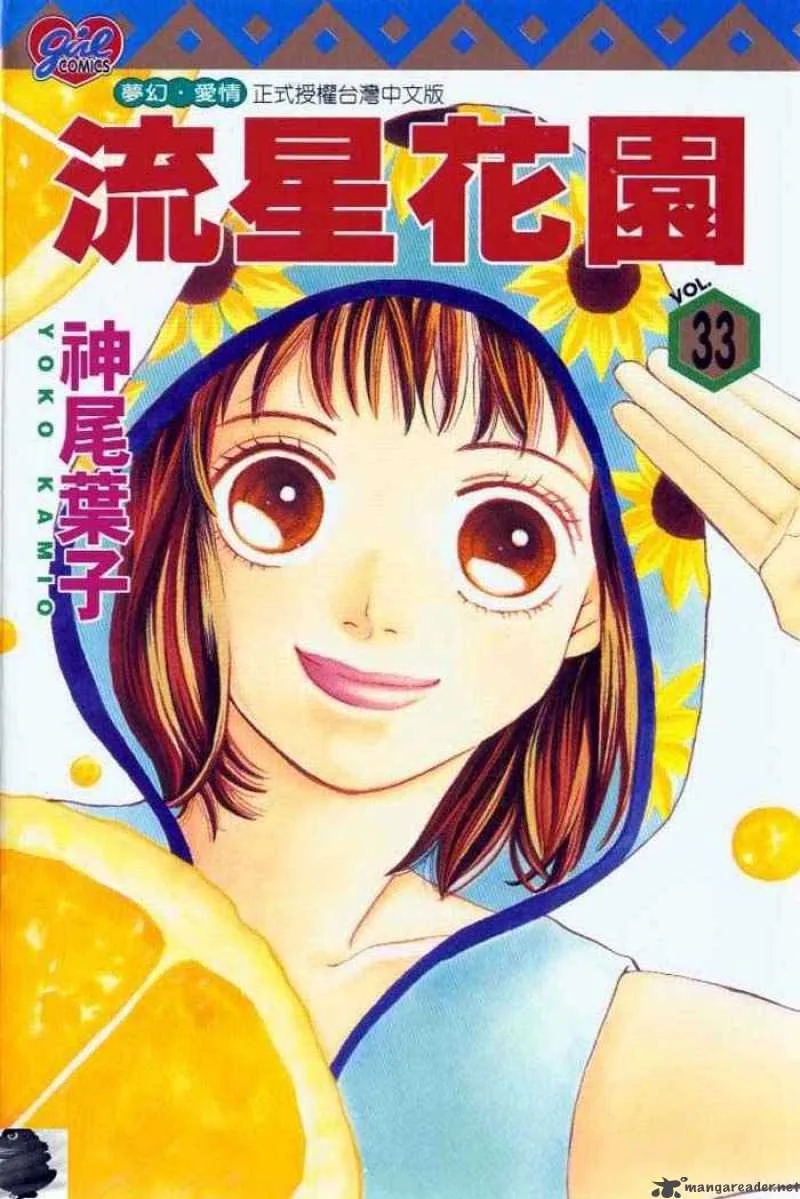 Hana Yori Dango Chapter 215 page 29