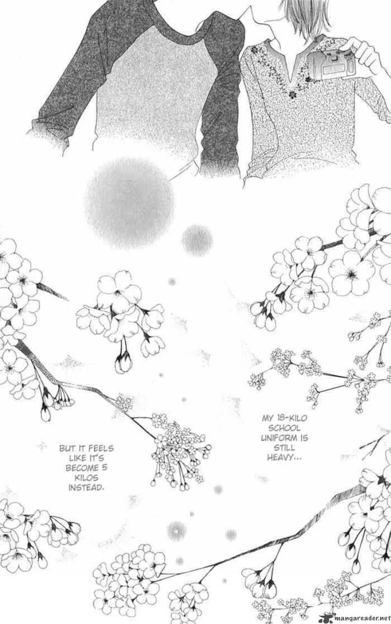 Hana Yori Dango Chapter 238 page 23