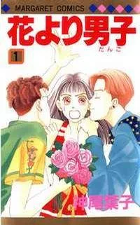 Hana Yori Dango cover