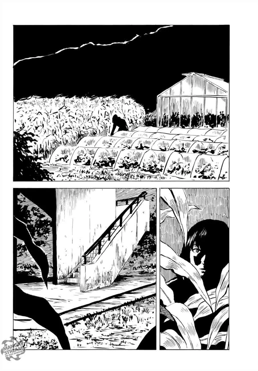 Happiness (OSHIMI Shuzo) Chapter 31 page 5