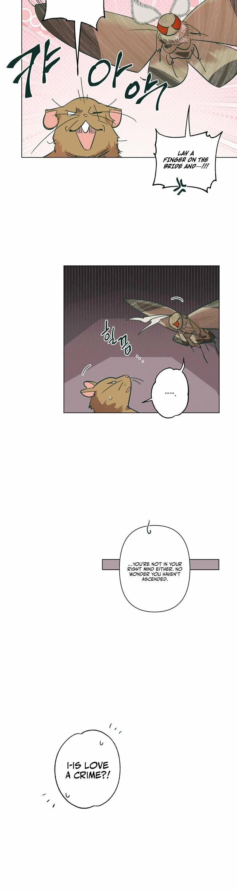 Happiness Rides a Broomstick Chapter 42 page 21