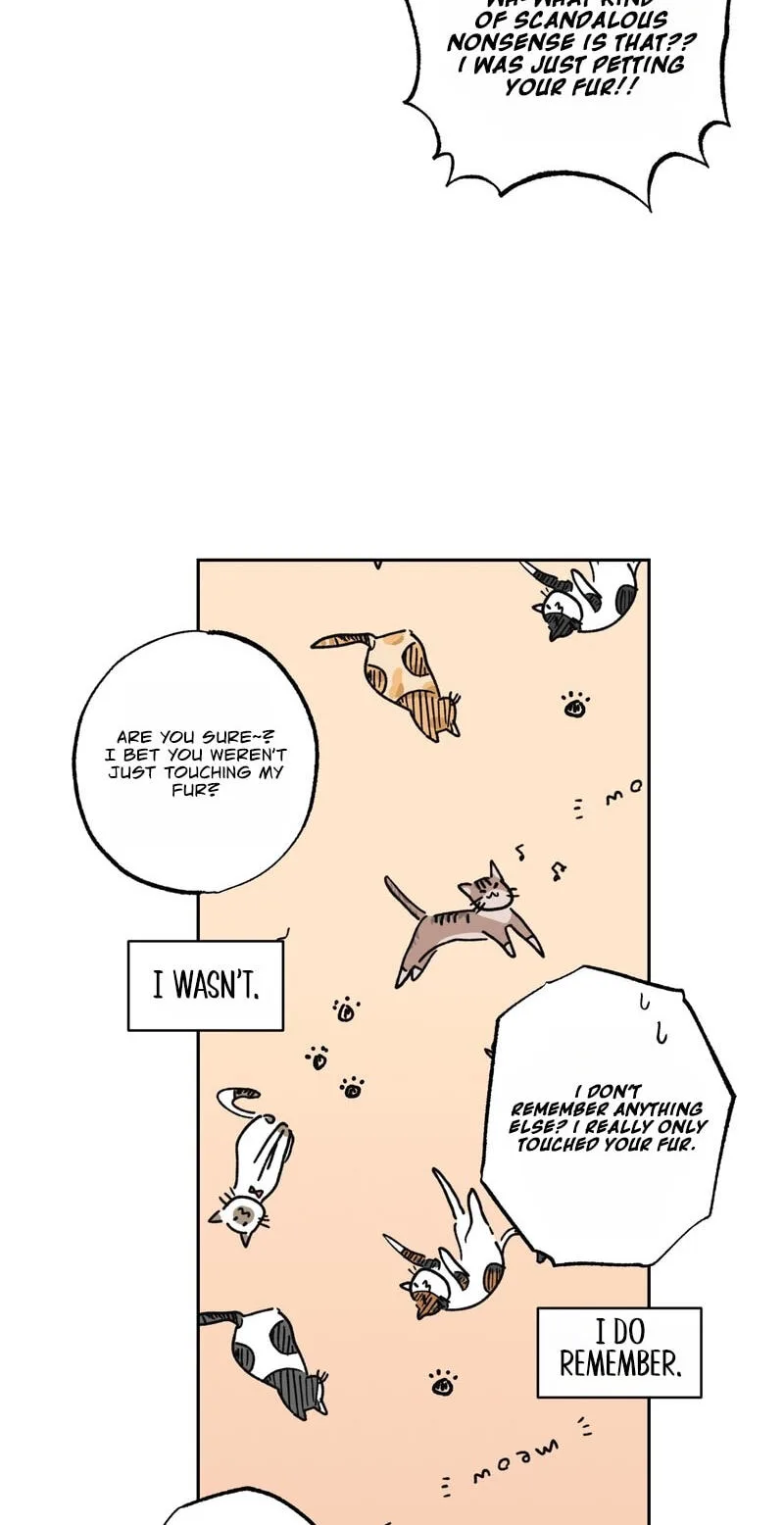 Happiness Rides a Broomstick Chapter 61 page 48